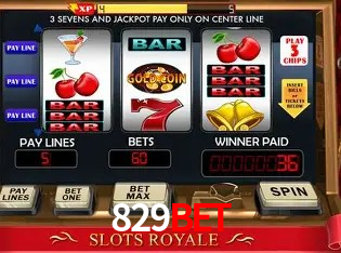 Security Systems 829bet